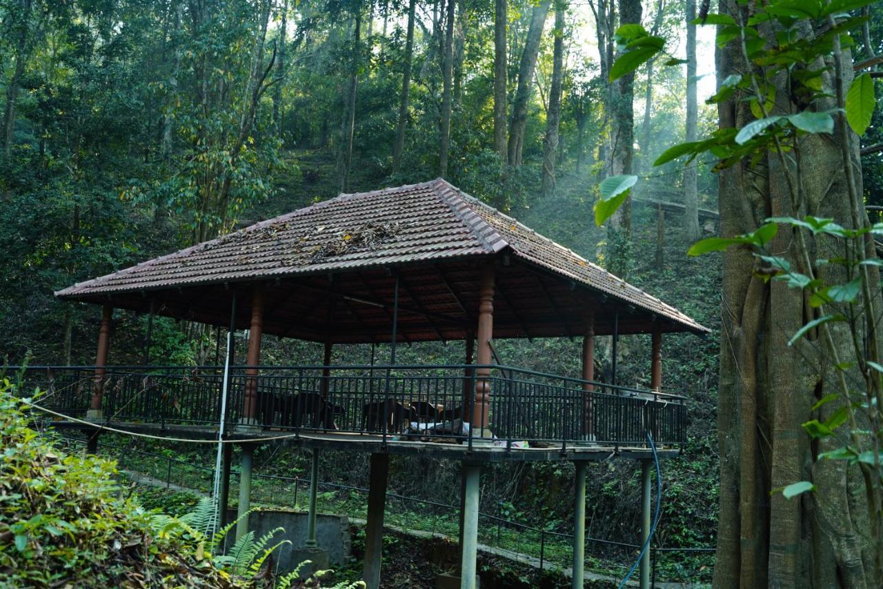 Qexperiences Coorg Hotel Madikeri Eksteriør billede